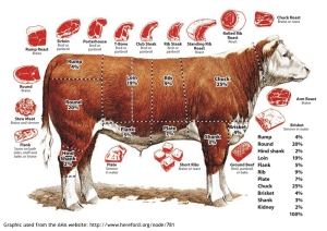 Wholesale and Retail Cuts of Beef